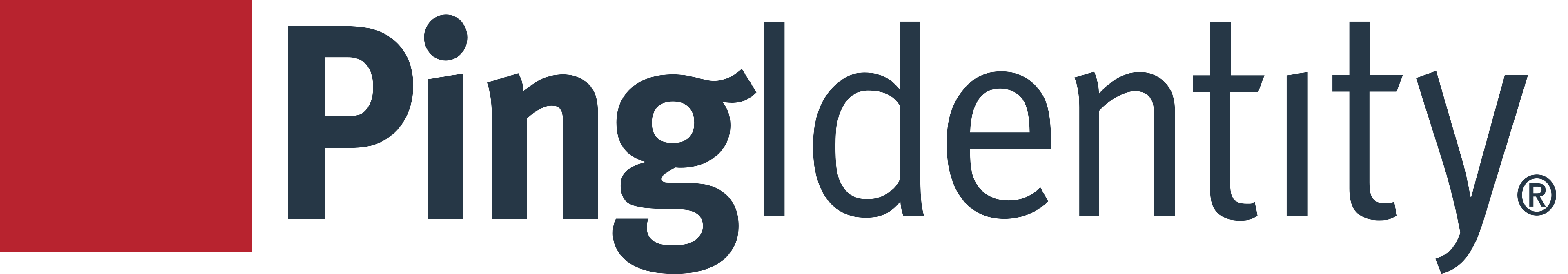 Ping Identity